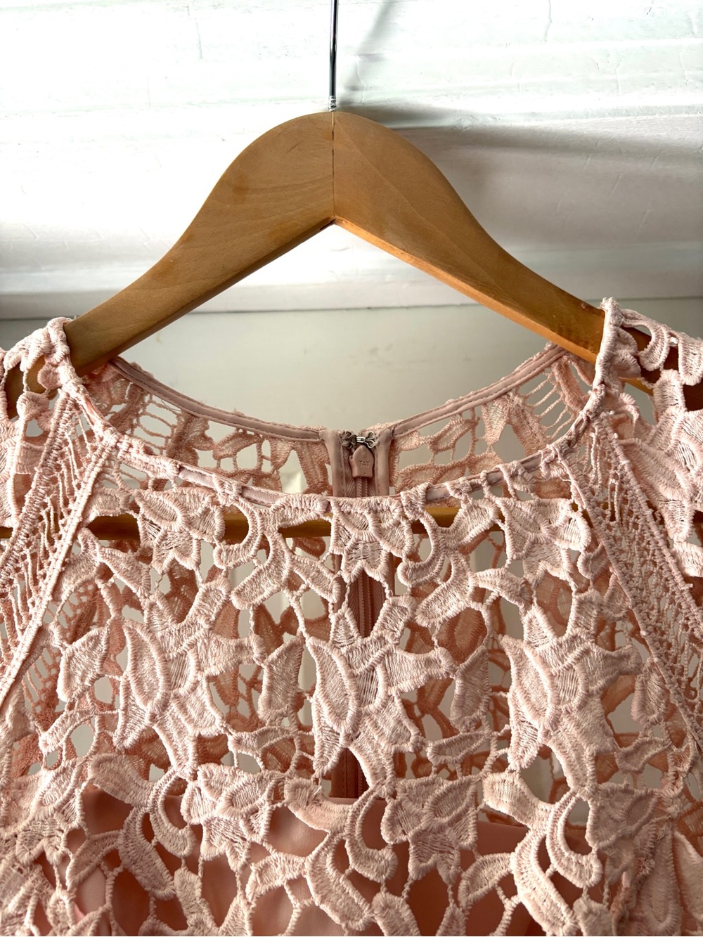 Eliza J Lace Sheath Mini Dress Crochet Lace Overlay Blush Pink Size 4P - Picture 8 of 13